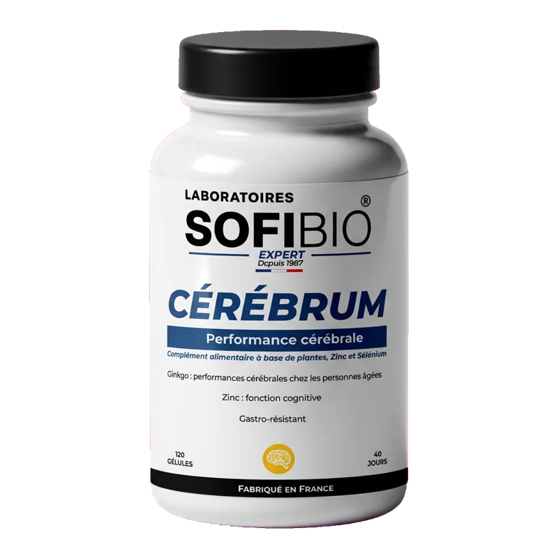 CÉRÉBRUM